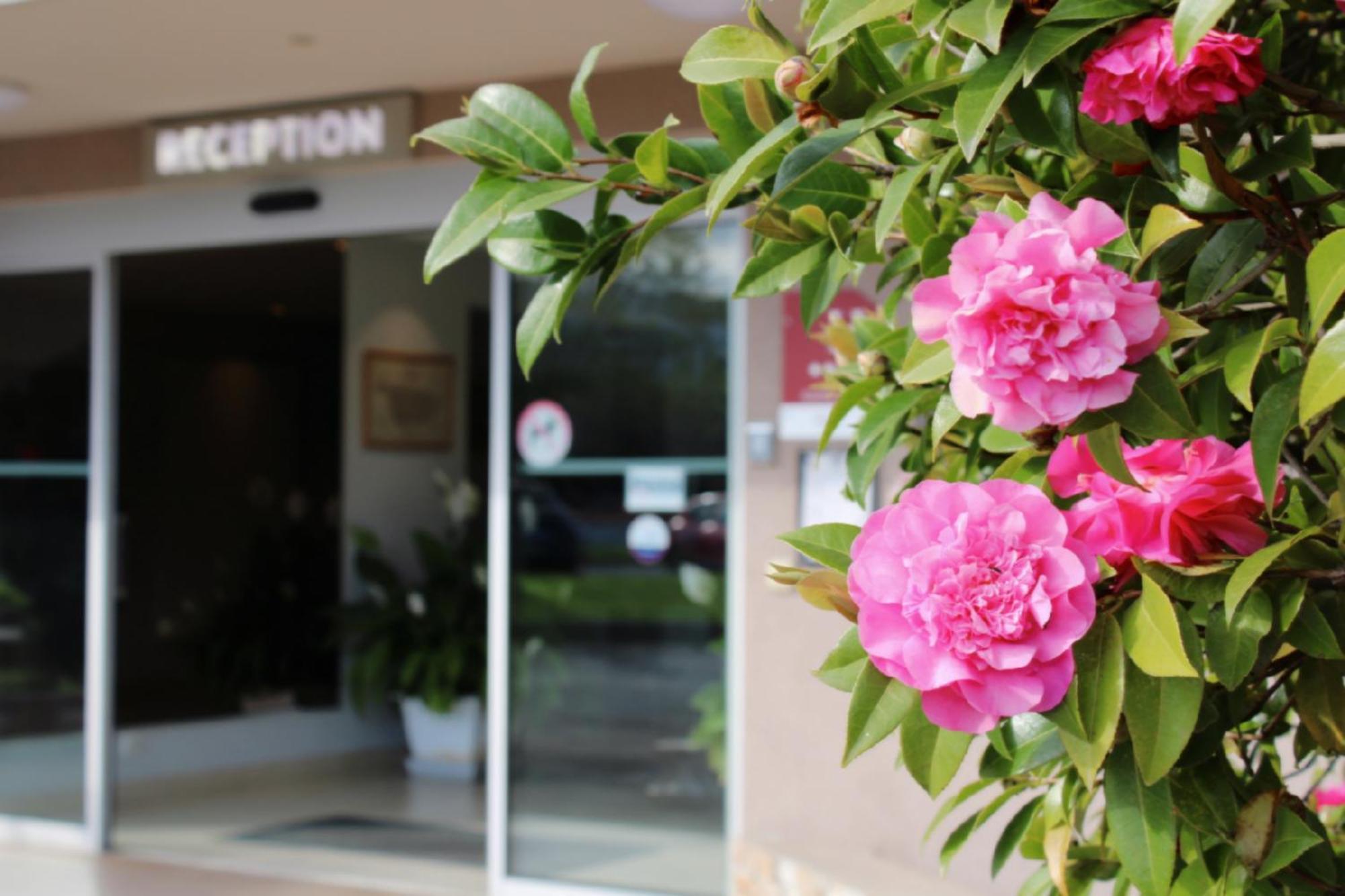 Hotel Poretta Lucciana  Zewnętrze zdjęcie